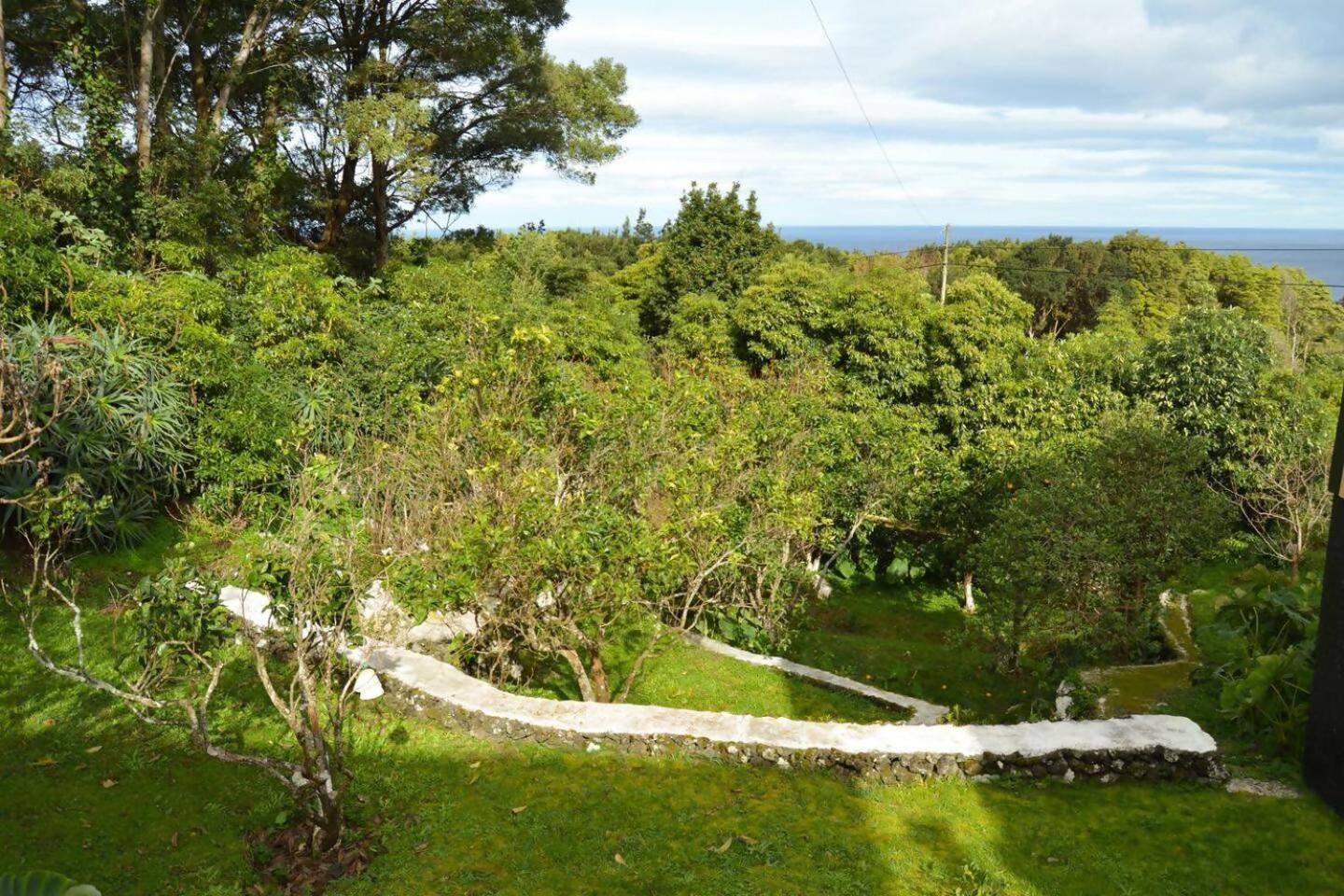 The Emigrant House By Pontanegraazores Biscoitos  Extérieur photo